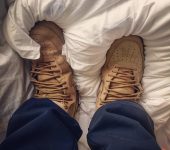 AF1 Wheats in a bed